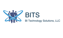 Business Intelligence Technology Solutions LLC